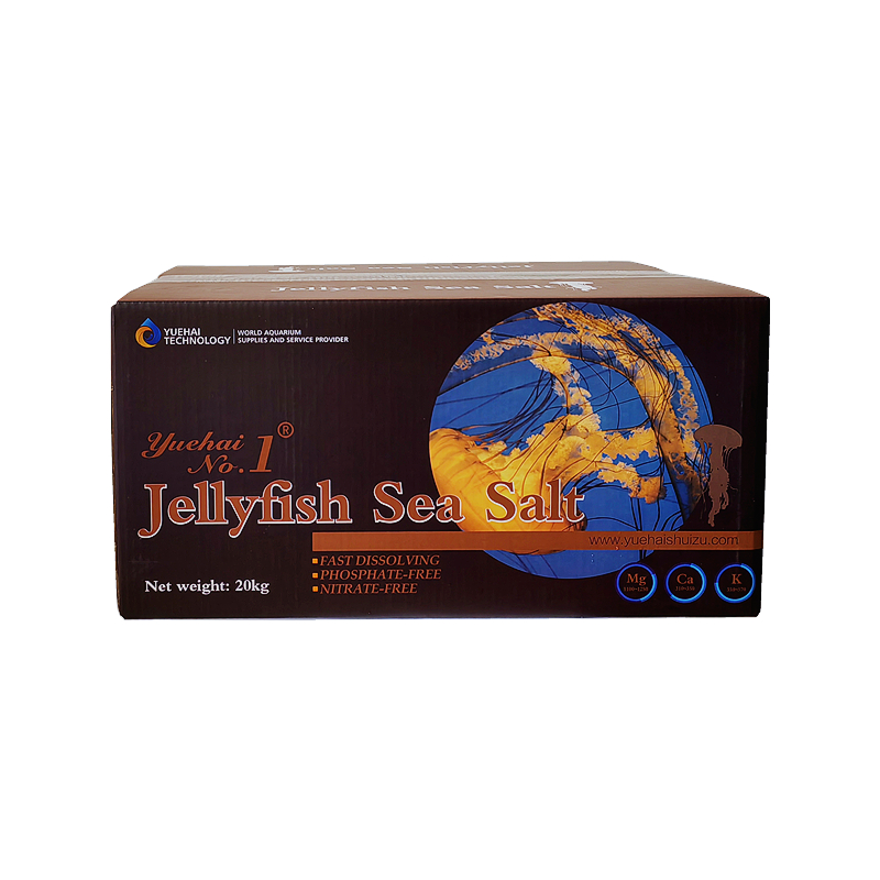 Jellyfish sea salt-box